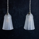 Pair of Art Decor Frosted Glass Pendants - elsie green - decor
