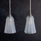 Pair of Art Decor Frosted Glass Pendants - elsie green - decor
