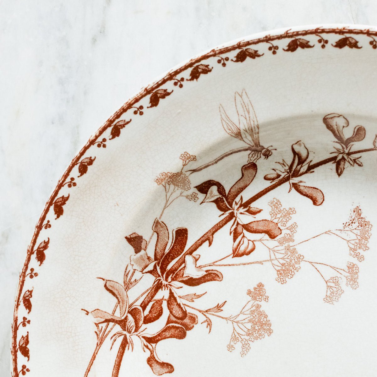 Pair Of Carmen Transferware Bowls - elsie green - The French Kitchen