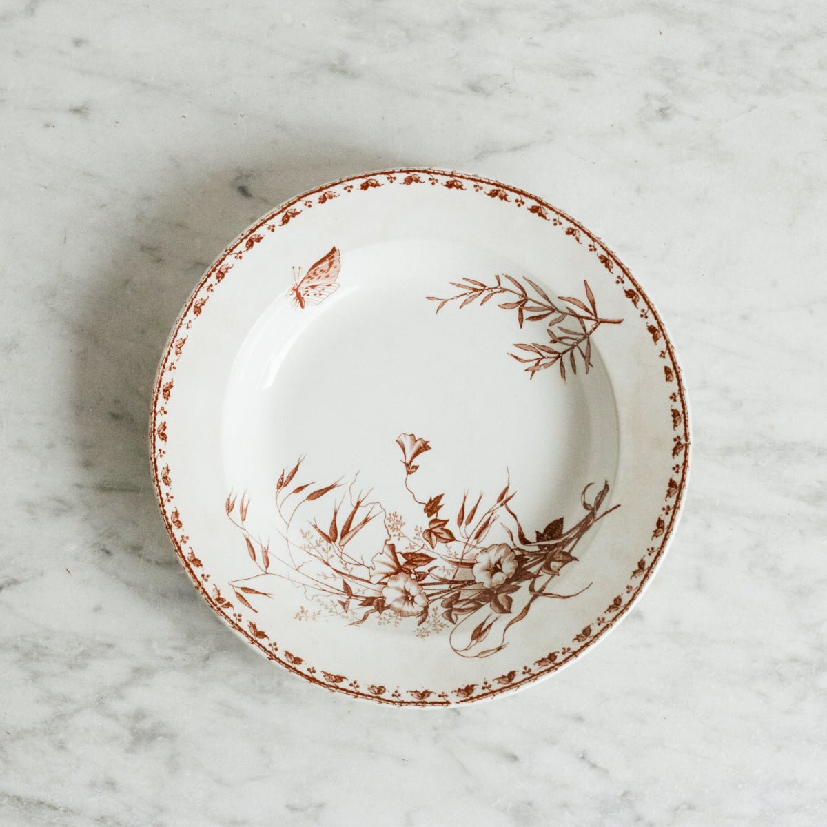 Pair Of Carmen Transferware Bowls - elsie green - The French Kitchen
