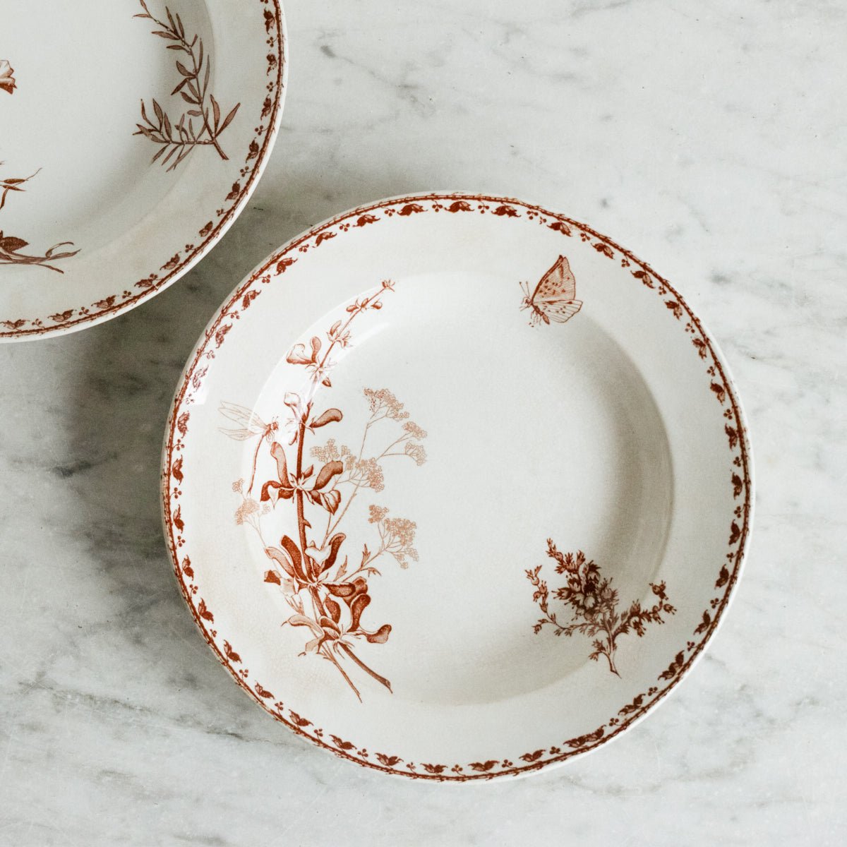 Pair Of Carmen Transferware Bowls - elsie green - The French Kitchen