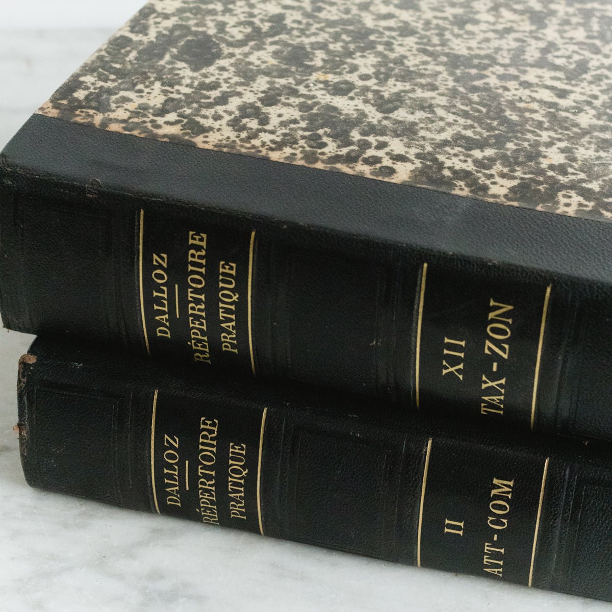 Pair of French Legal Volumes - elsie green - decor