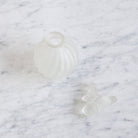 Pair Of Frosted Glass Vanity Bottle With Butterflies - elsie green - Decor