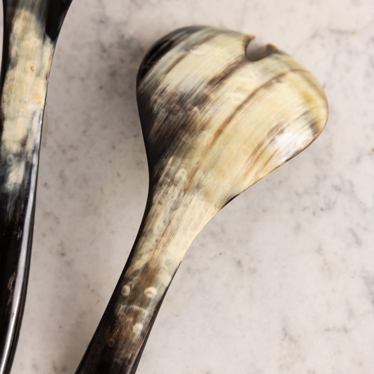 Pair of Horn Servers - elsie green - the french kitchen