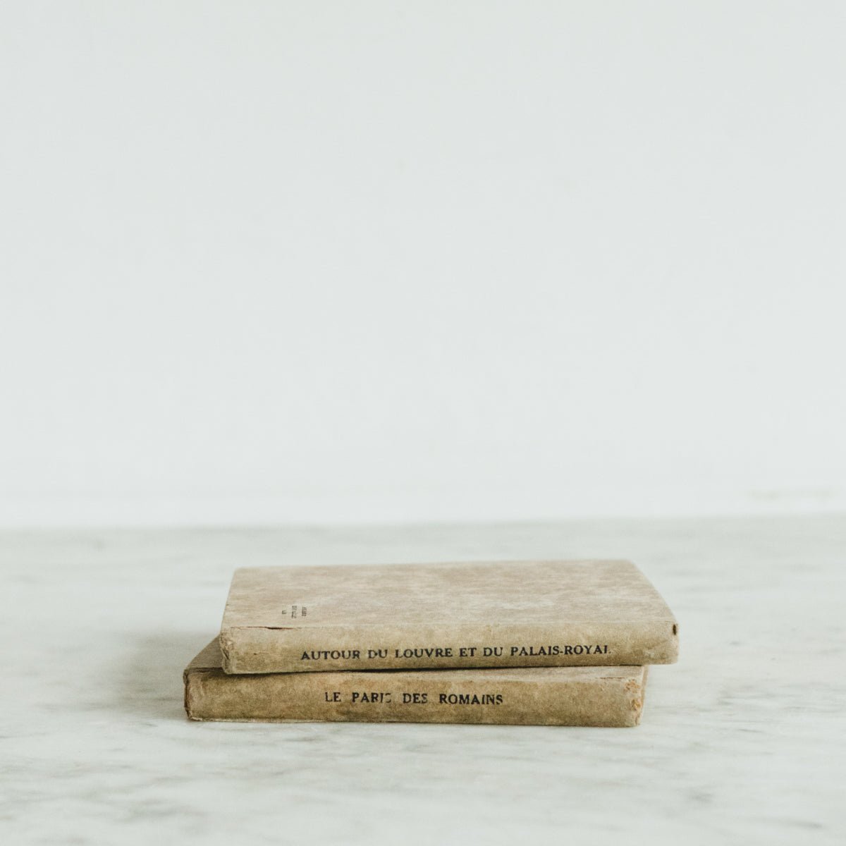 Pair of Paris Books - elsie green - decor