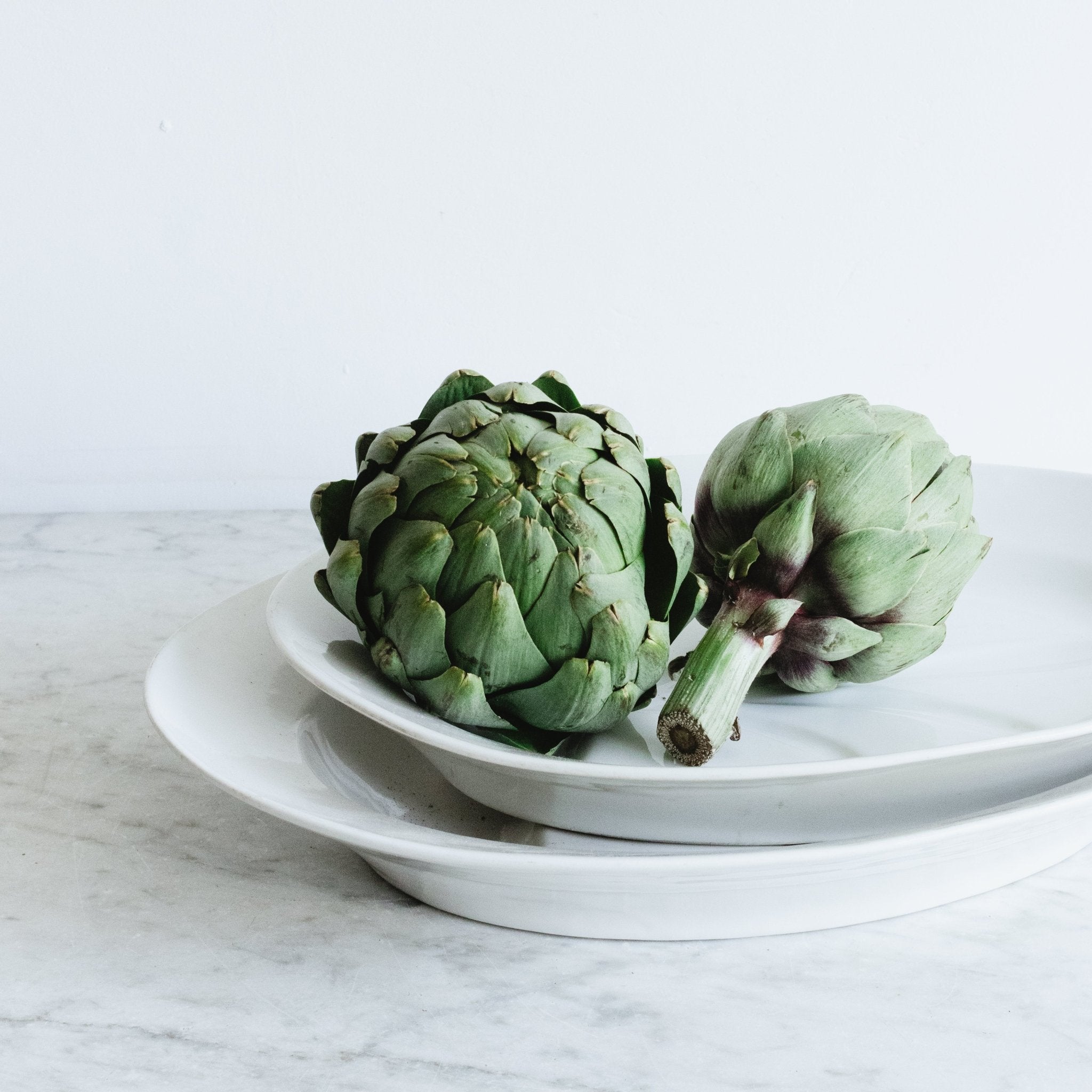 Pair Of Porcelain Meat Platters - elsie green - The French Kitchen