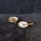 Pair of Shell Salt Cellars & Salt Spoons - elsie green - the french kitchen