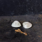 Pair of Shell Salt Cellars & Salt Spoons - elsie green - the french kitchen
