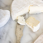 Pair of Silver Cheese Knives - elsie green - the french kitchen