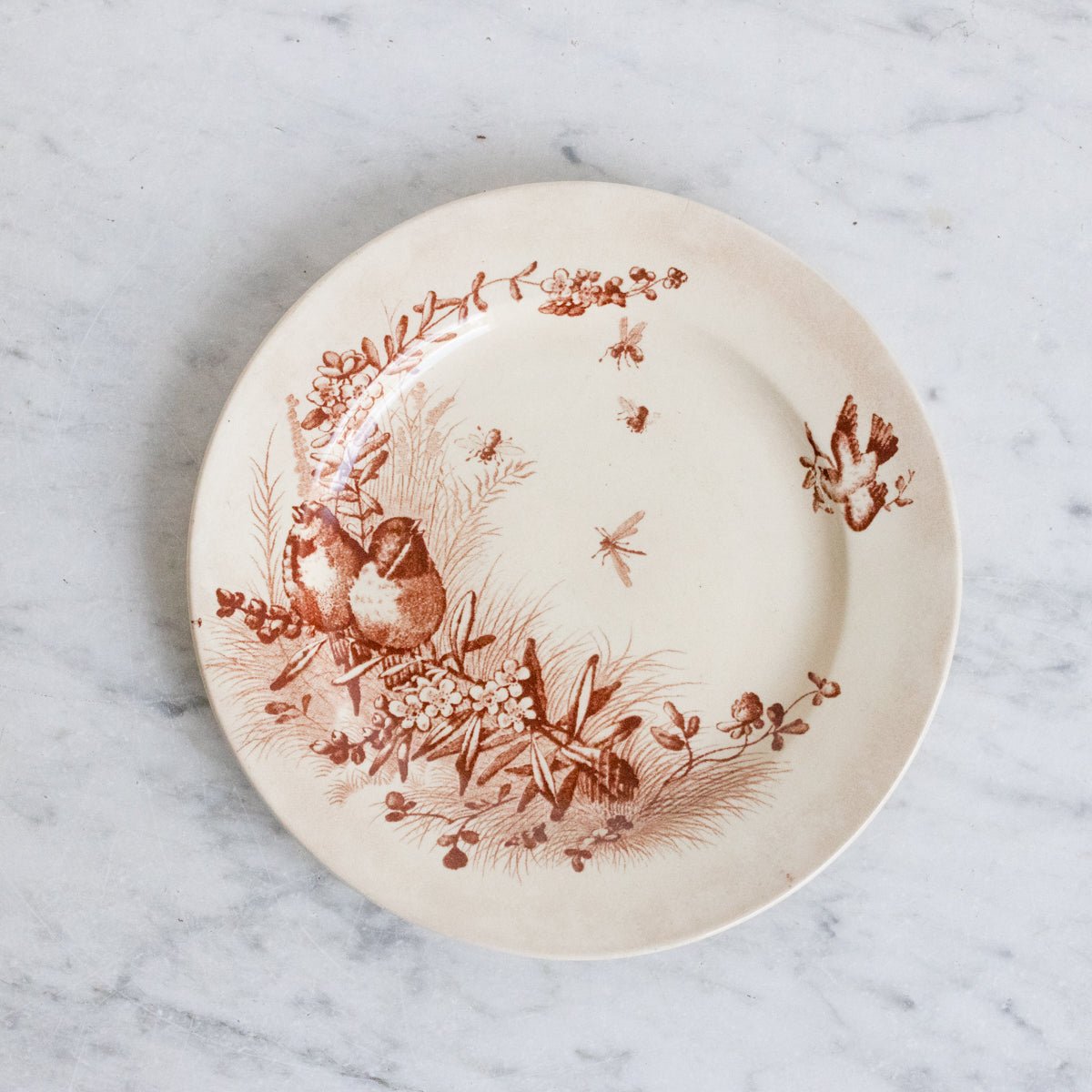 Pair Of Transferware Plates With Birds & Insects - elsie green - The French Kitchen