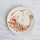 Pair Of Transferware Plates With Birds & Insects - elsie green - The French Kitchen