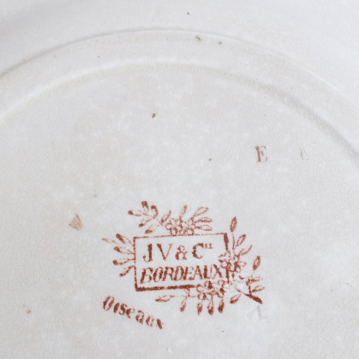 Pair Of Transferware Plates With Birds & Insects - elsie green - The French Kitchen