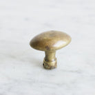 Pair of Unlacquered Brass Cabinet Knobs - elsie green - decor