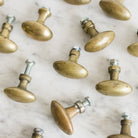 Pair of Unlacquered Brass Cabinet Knobs - elsie green - decor