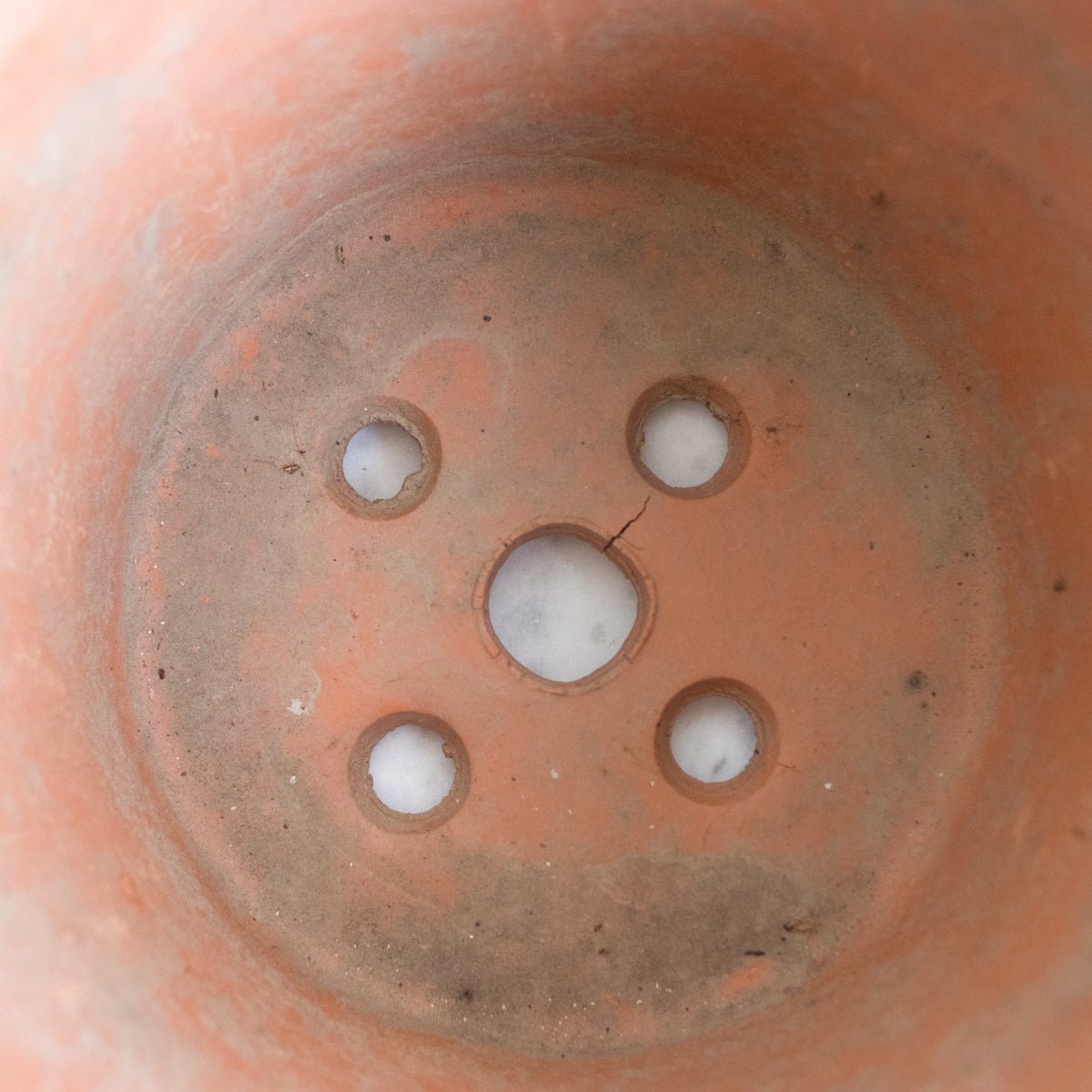 Pair of Vintage Garden Pots - elsie green - Decor