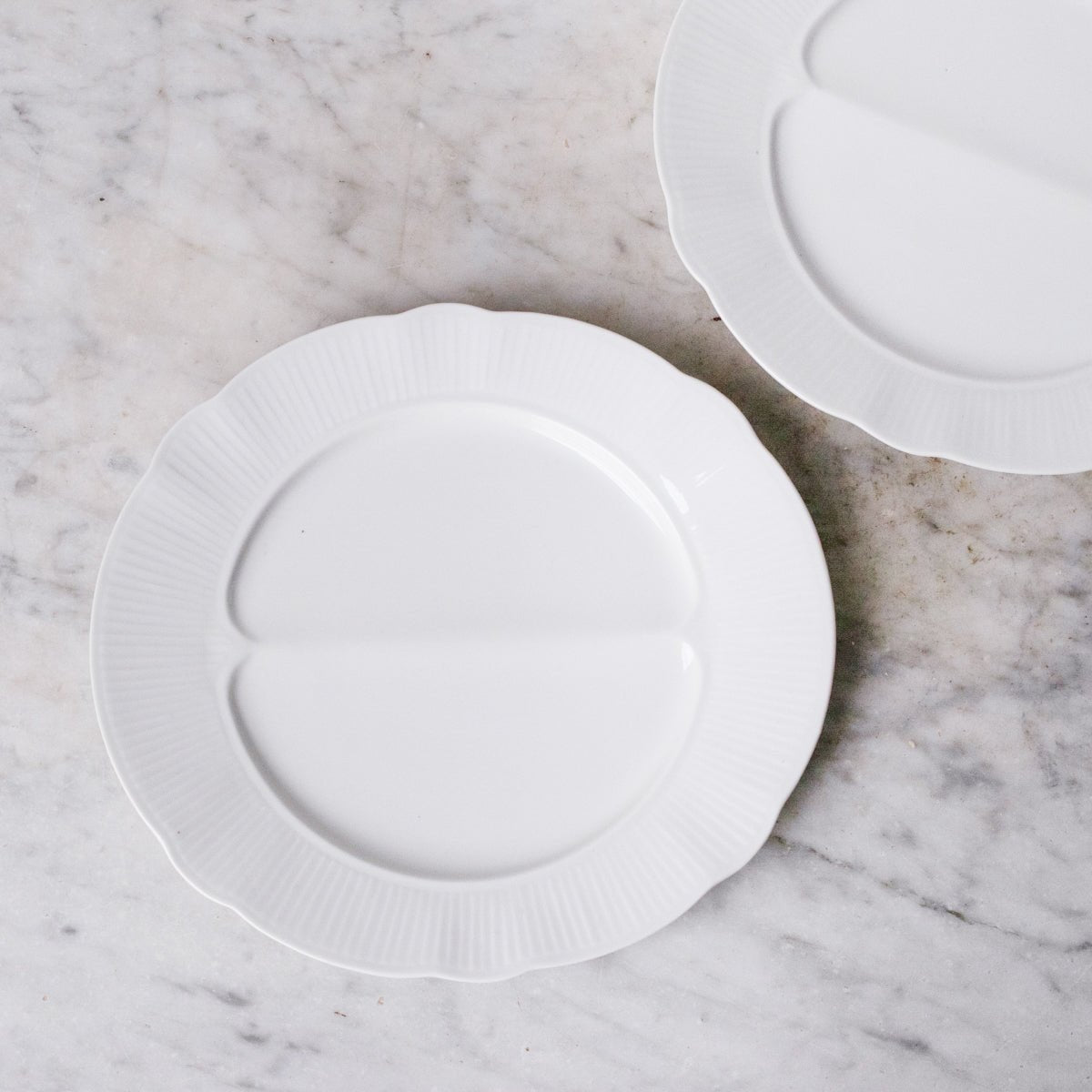 Pair of Vintage Pillyvuyt Asparagus Plate - elsie green - The French Kitchen
