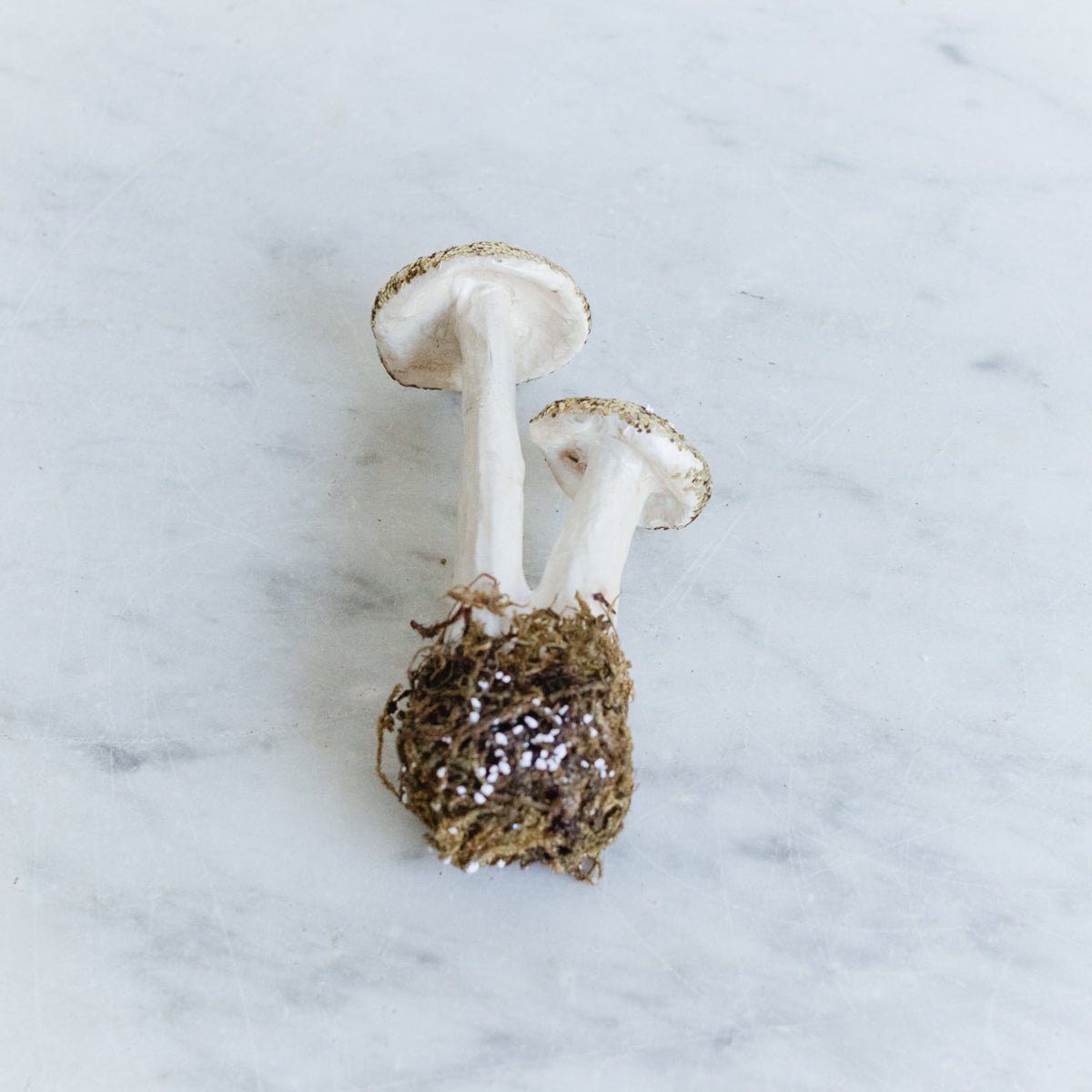 Papier Maché Gold Glitter Double Mushroom Ornament - elsie green - decor