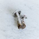 Papier Maché Silver Glitter Double Mushroom Ornament - elsie green - decor