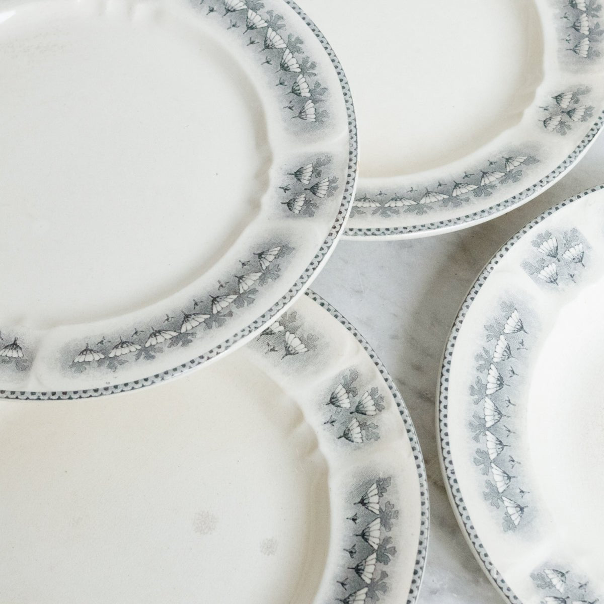 Paquerettes Transferware Soup Bowl Or Plate Set Of 4 - elsie green - The French Kitchen