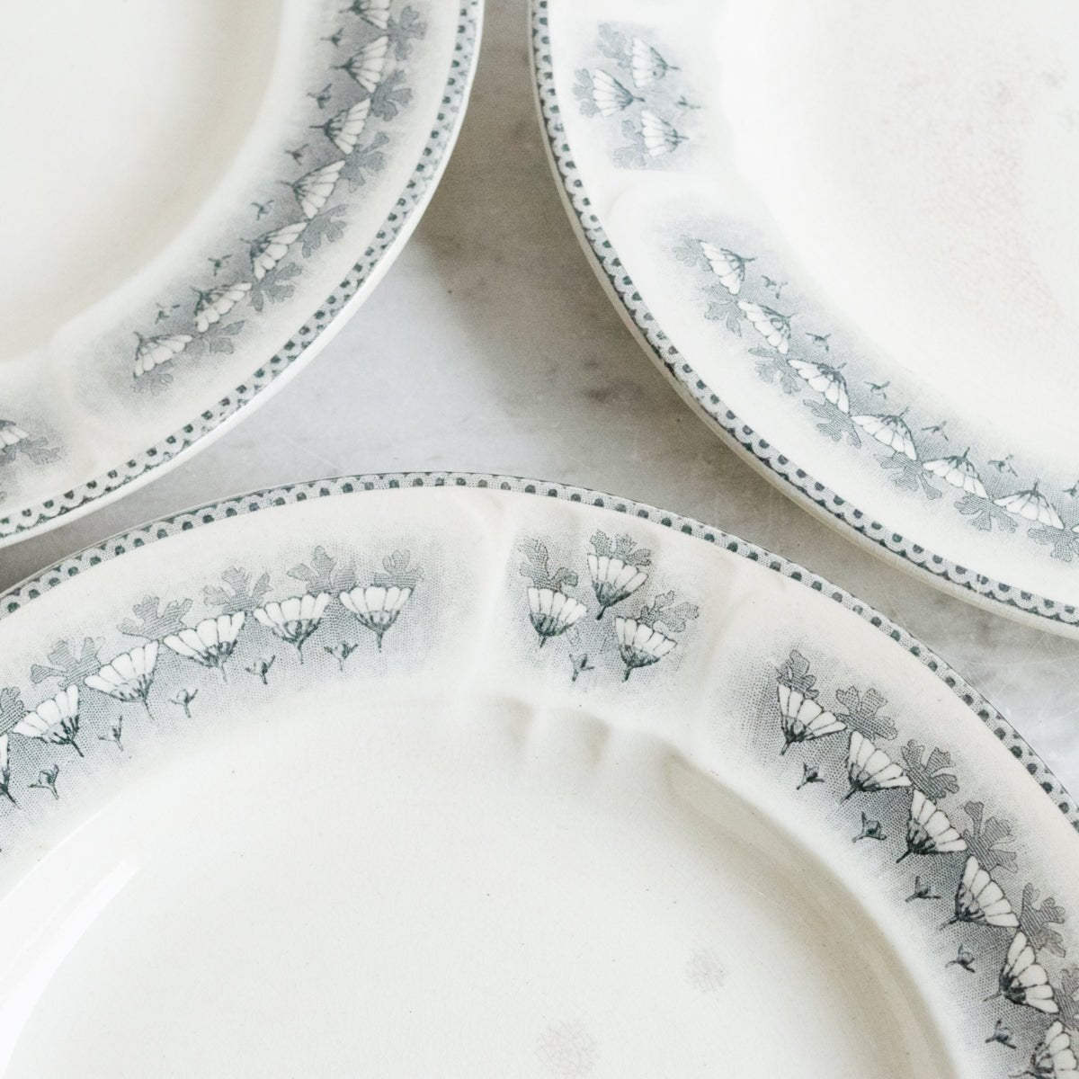 Paquerettes Transferware Soup Bowl Or Plate Set Of 4 - elsie green - The French Kitchen
