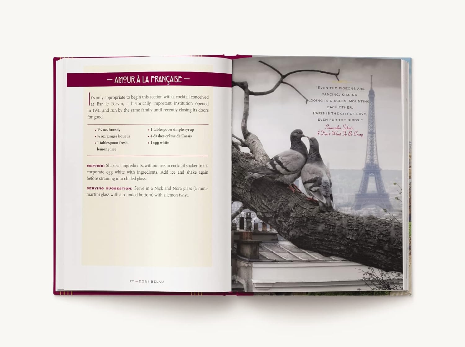 Paris Cocktails | An Elegant Collection of Over 100 Recipes Inspired by the City of Light - elsie green - Decor