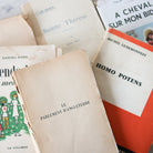 Perfectly Imperfect French Book Set of 4 - elsie green - decor