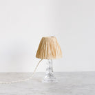 Petite Cristallerie Lorraine Accent Lamp with Raffia Shade - elsie green - decor