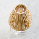 Petite Cristallerie Lorraine Accent Lamp with Raffia Shade - elsie green - decor