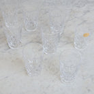 Petite Cut Crystal Glass Set Of 8 - elsie green - The French Kitchen