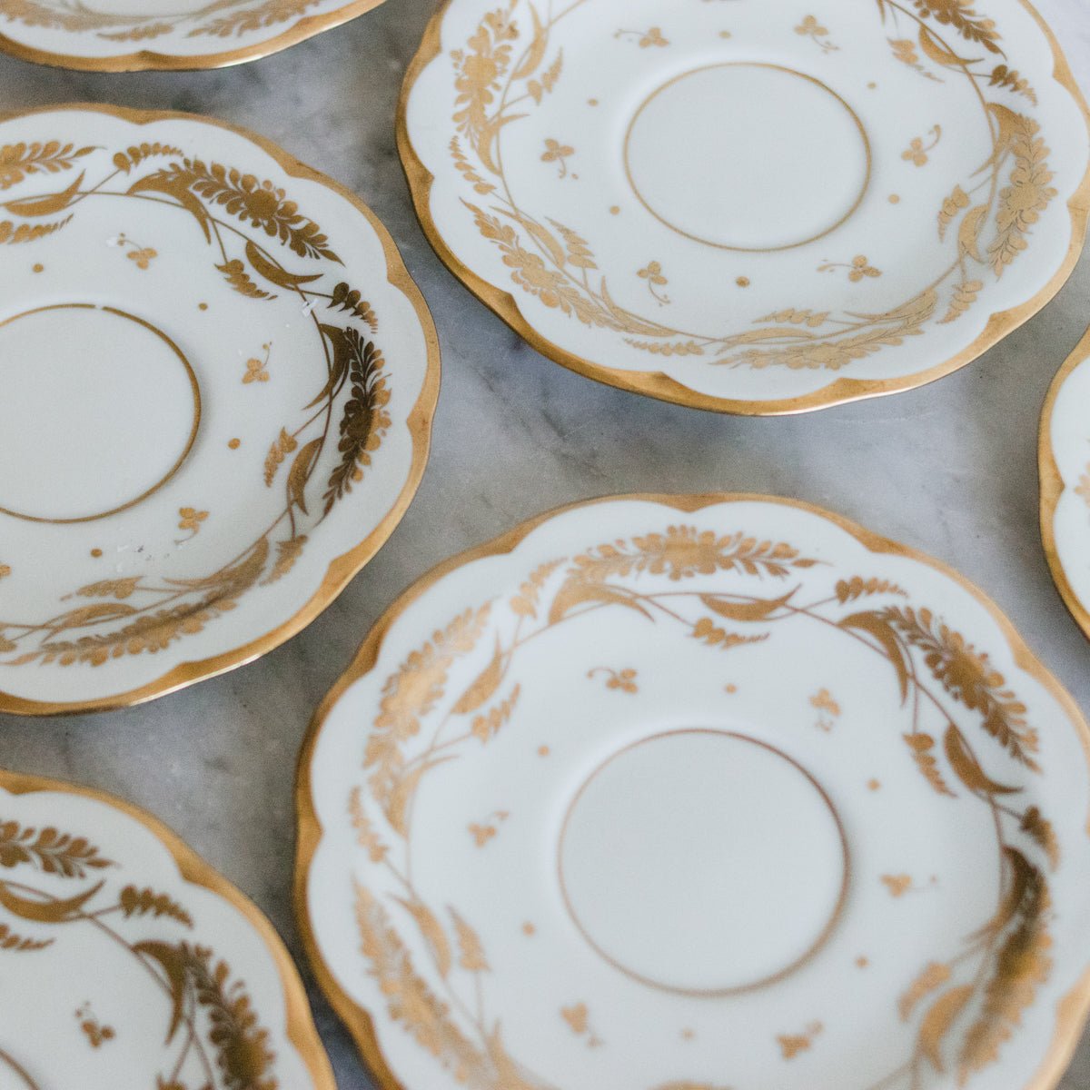 Petite Hand - Painted Haviland Plate Set Of 11 - elsie green - the french kitchen