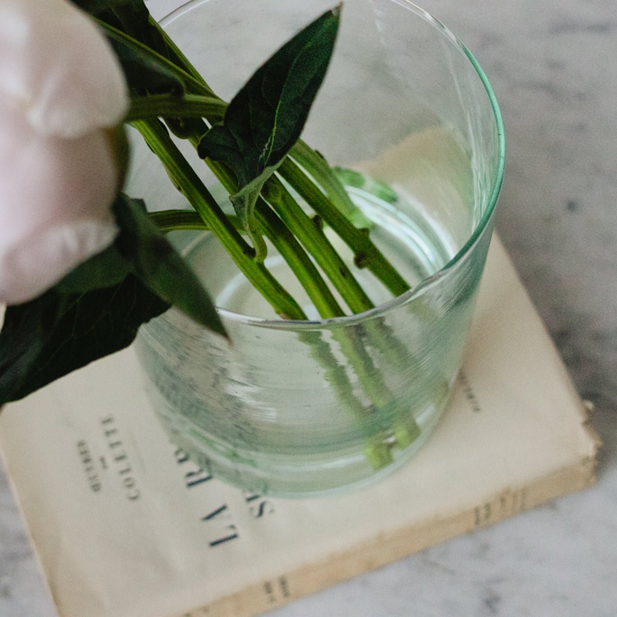 Petite Moroccan Vase - elsie green - Decor