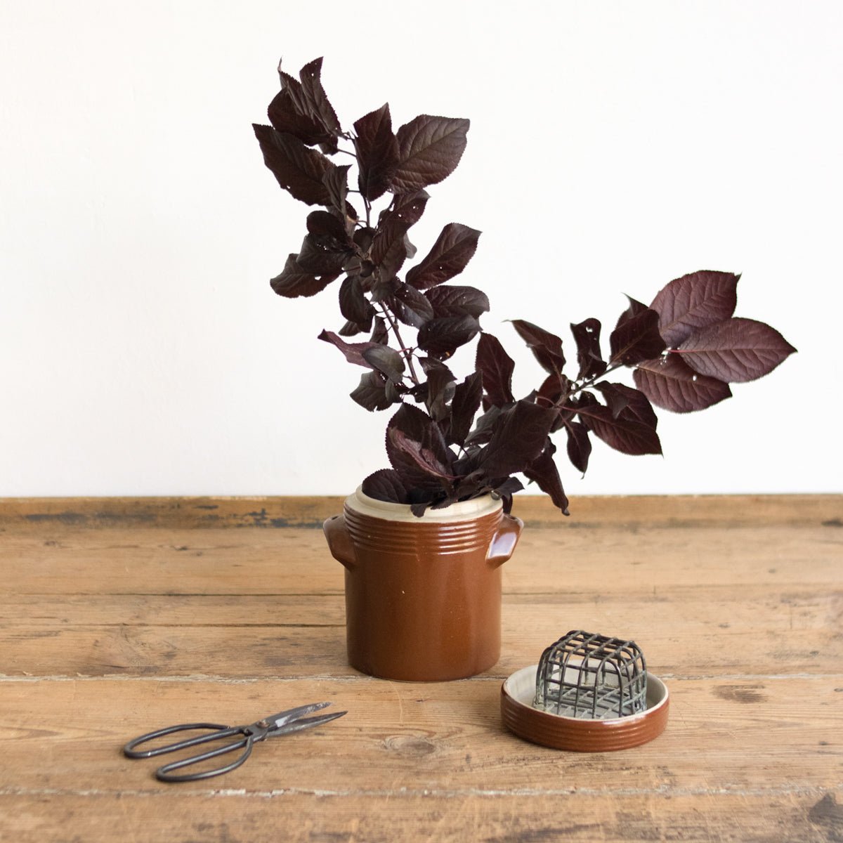 Petite Stoneware Crock With Lid | Brown - elsie green - The French Kitchen