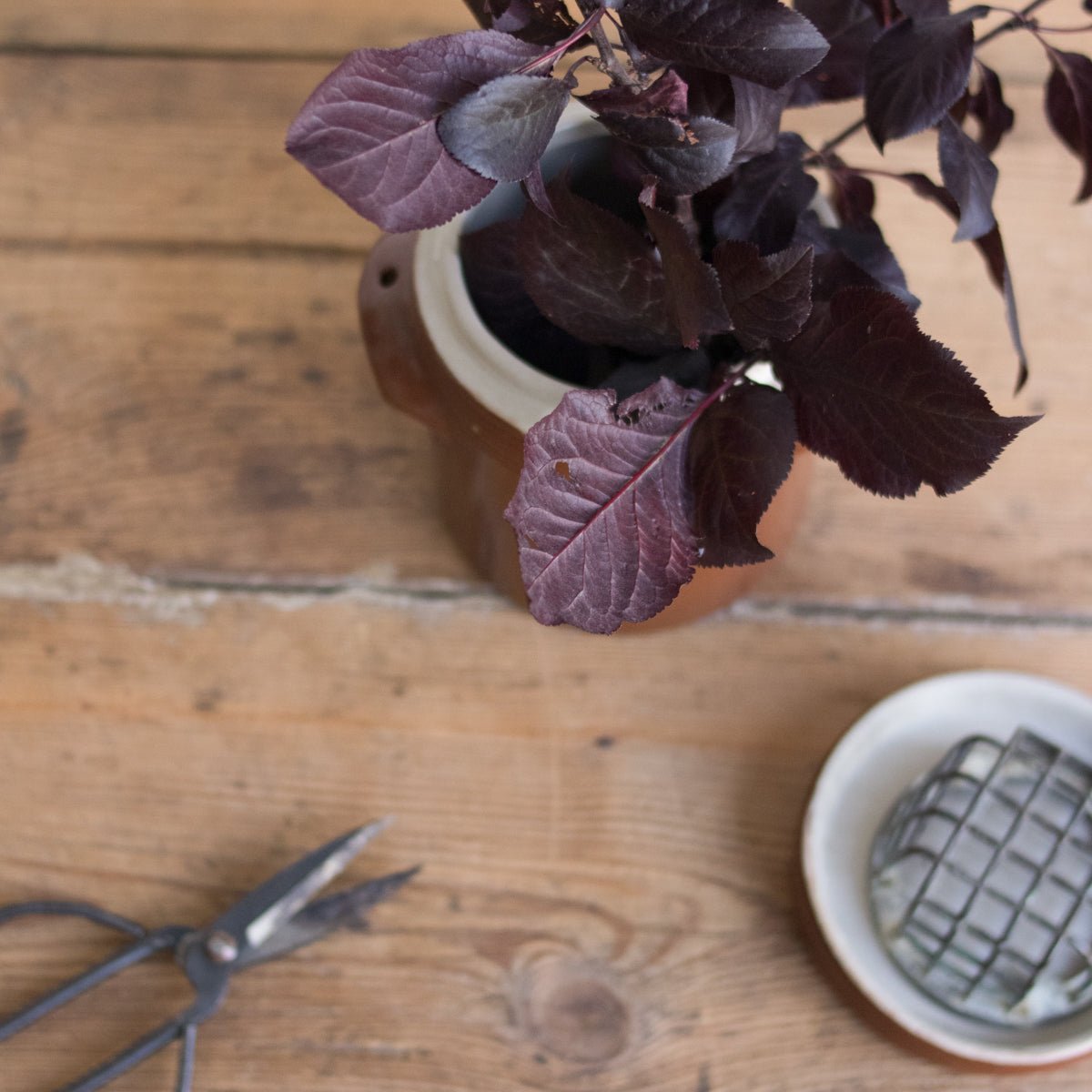 Petite Stoneware Crock With Lid | Brown - elsie green - The French Kitchen