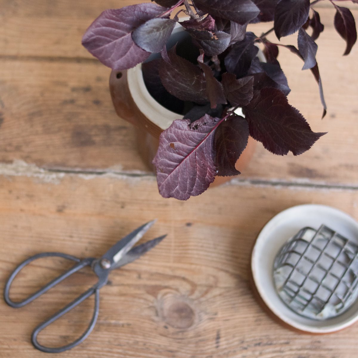 Petite Stoneware Crock With Lid | Brown - elsie green - The French Kitchen