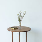 Petite Tilt - top Accent Table - elsie green - furniture