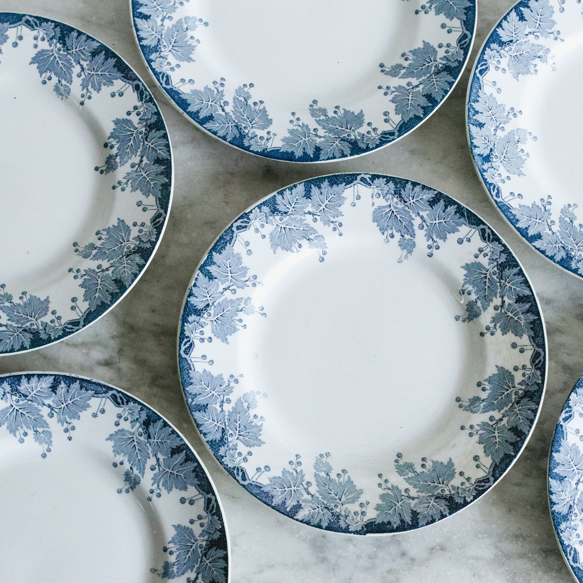 Platane Transfeware Plate Set Of 4 - elsie green - The French Kitchen