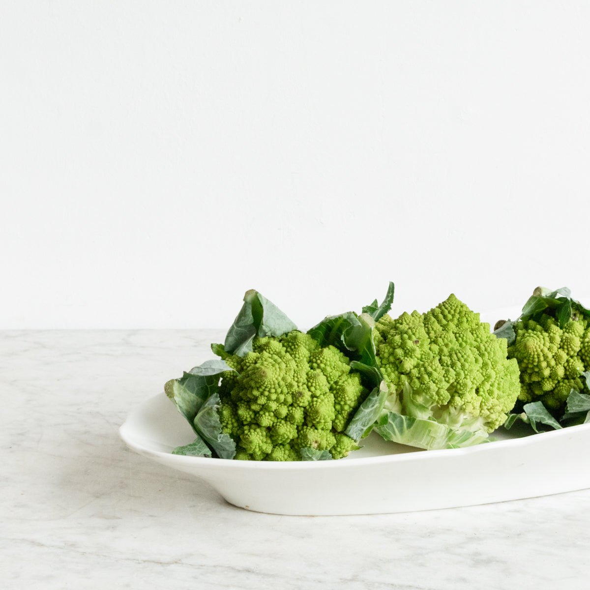 Porcelain Fish Platter - elsie green - The French Kitchen