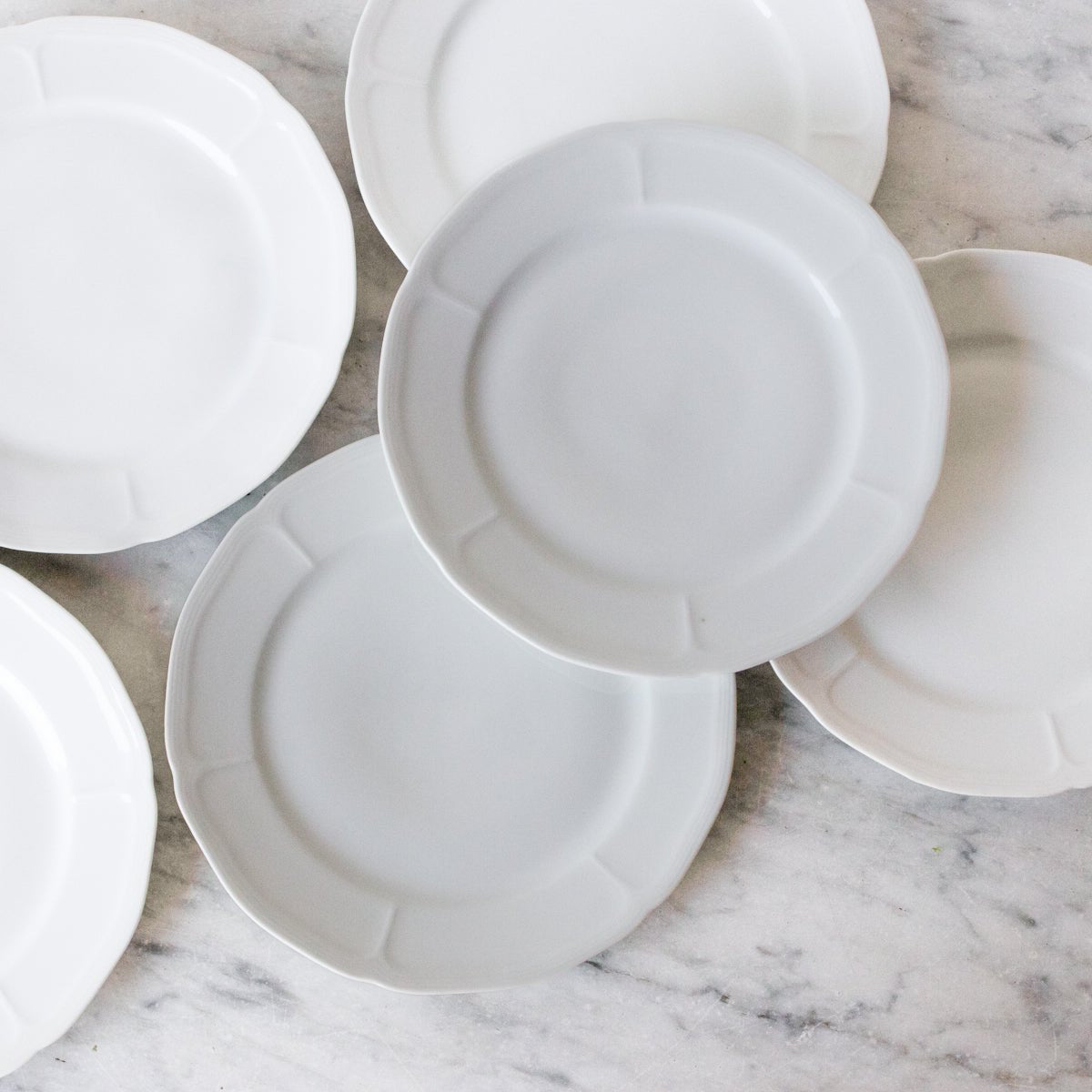 Porcelain Salad Plate Set of 6 - elsie green - the french ktichen