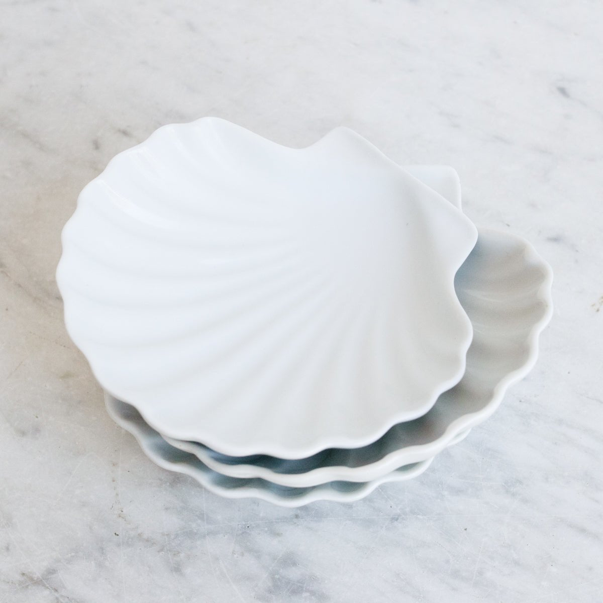 Porcelain Shell - elsie green - the french kitchen