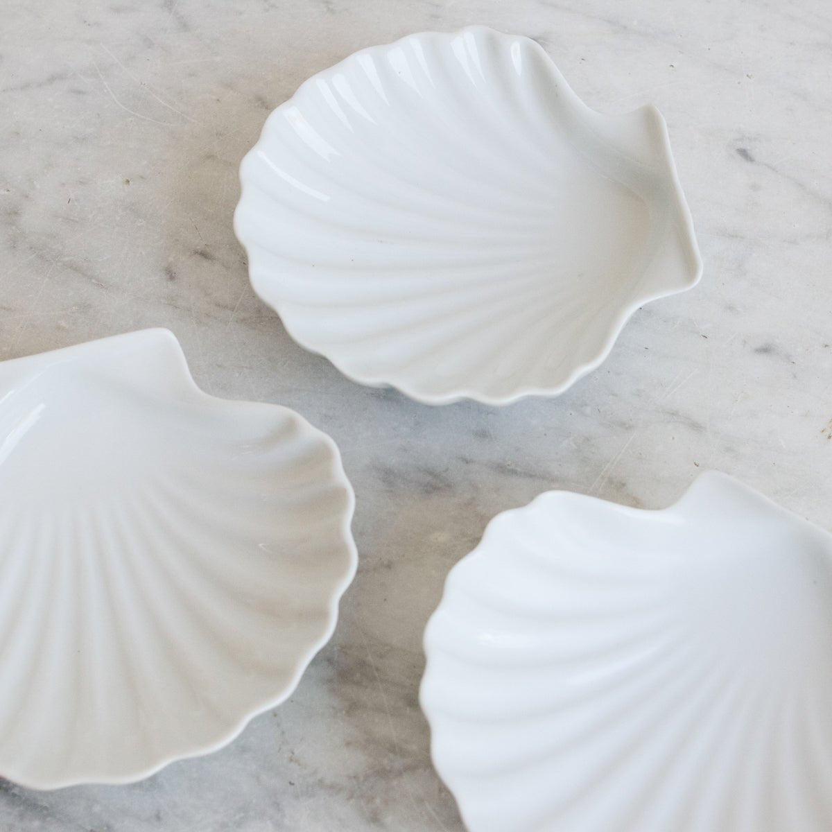 Porcelain Shell - elsie green - the french kitchen