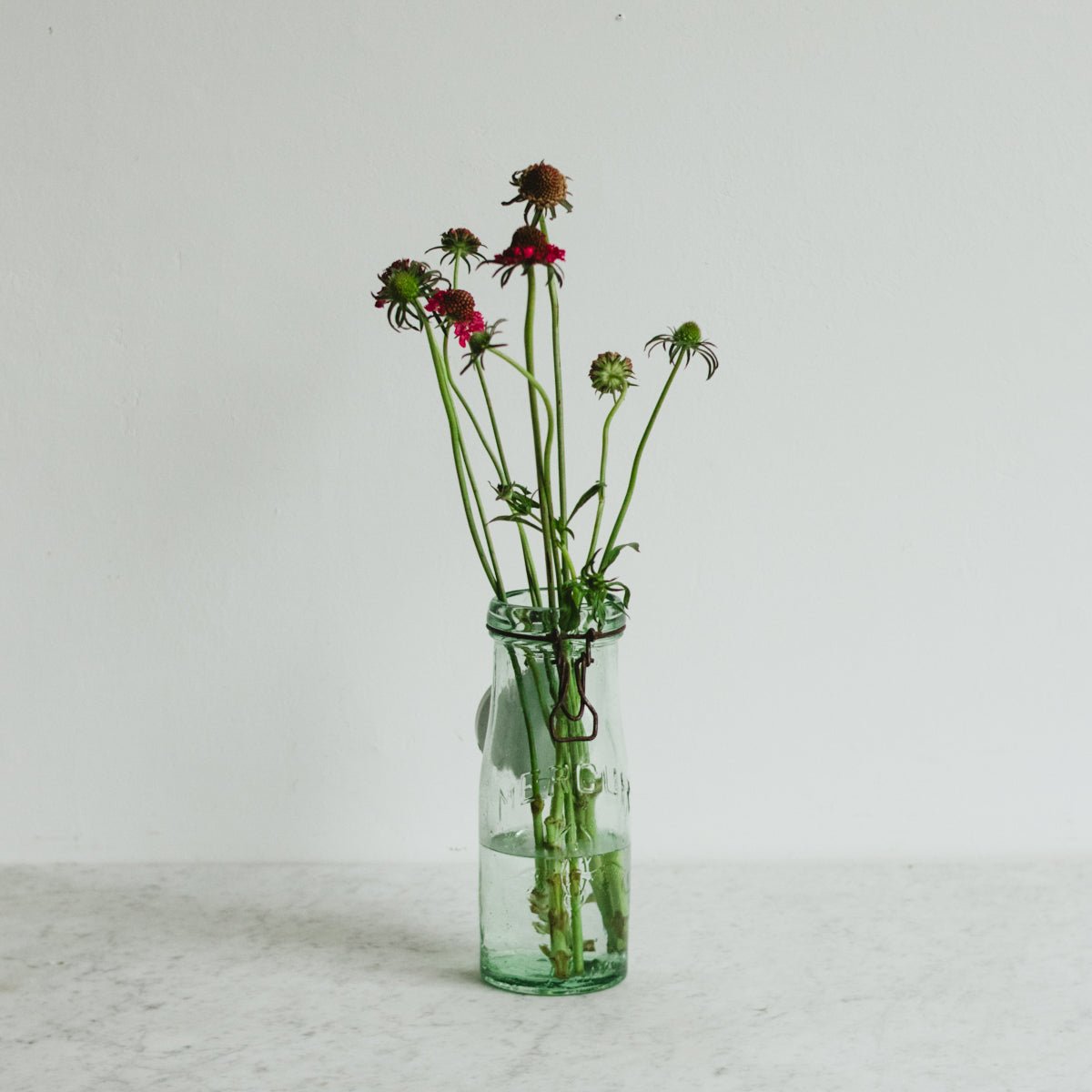 Porcelain Top Mercur Canning Jar - elsie green - The French Kitchen