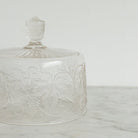 Pressed Glass Cheese Dome With Plate - elsie green - The French Kitchen