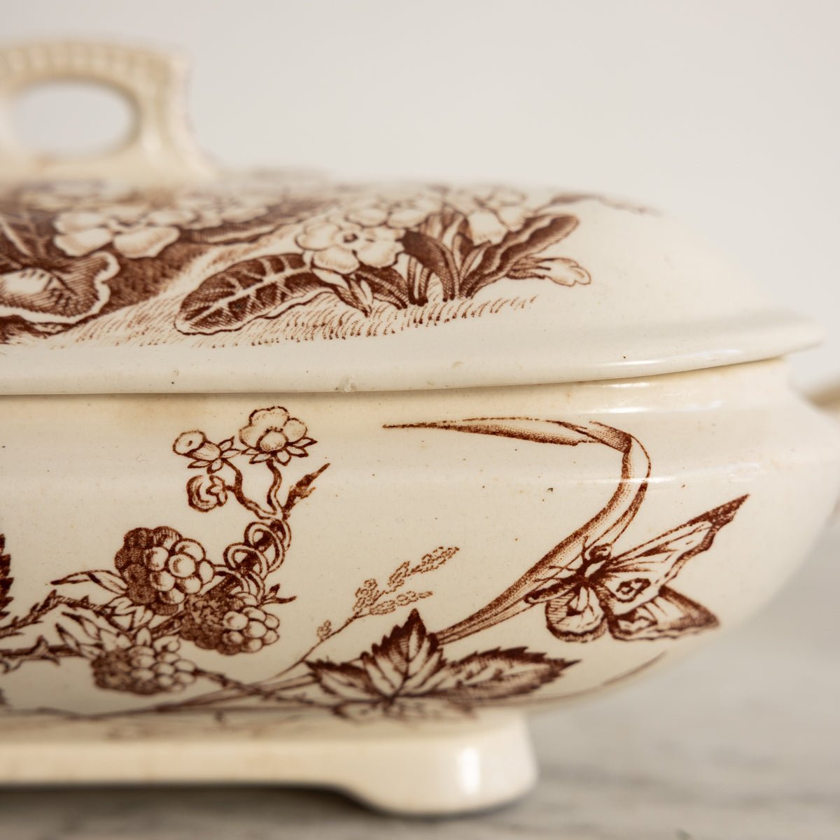 Primrose Transferware Tureen - elsie green - the french kitchen