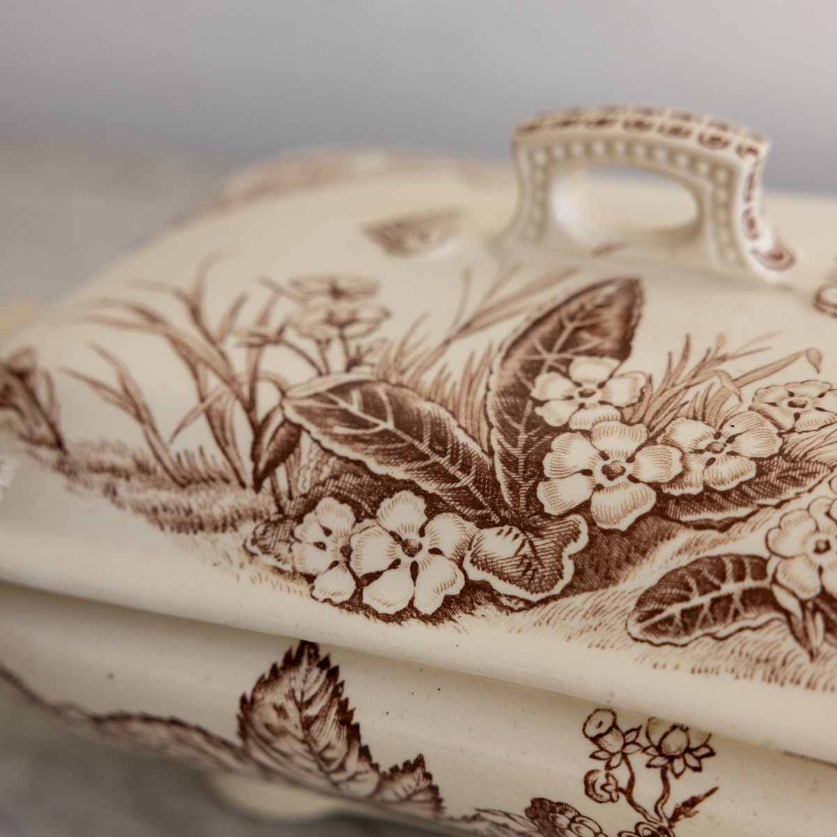Primrose Transferware Tureen - elsie green - the french kitchen