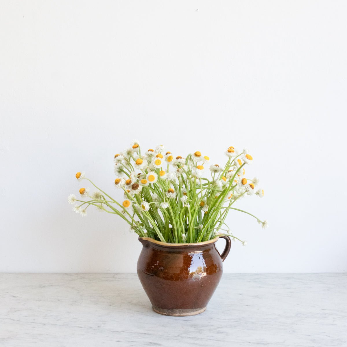 Provencal Cream Pitcher - elsie green - The French Kitchen