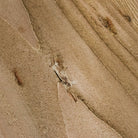 Reclaimed Wood Oval Farm Table | Floor Sample - elsie green - Custom Furniture