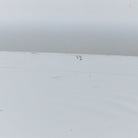 Reclaimed Wood Parsons Coffee Table - elsie green - furniture