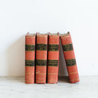 Red Voltaire Volume - elsie green - decor