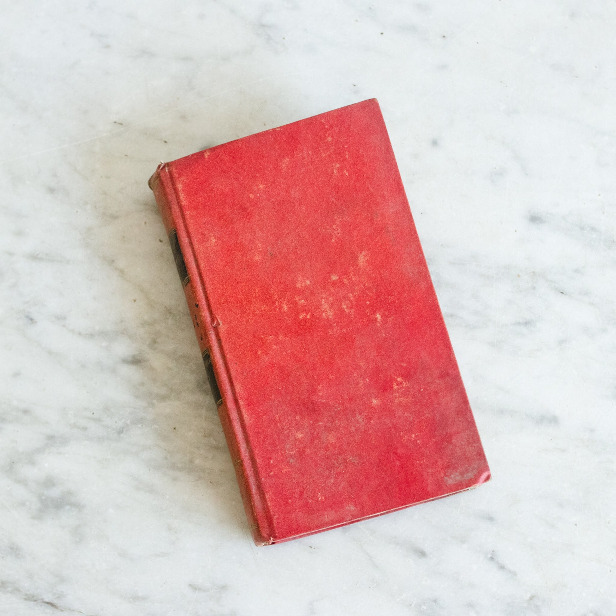 Red Voltaire Volume - elsie green - decor