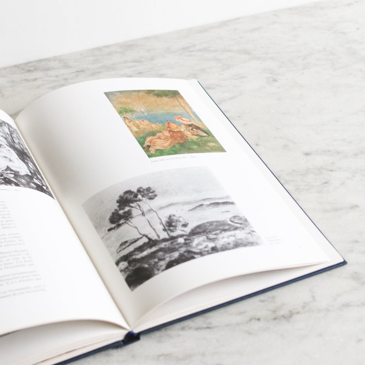 Renoir Vintage Book - elsie green - decor